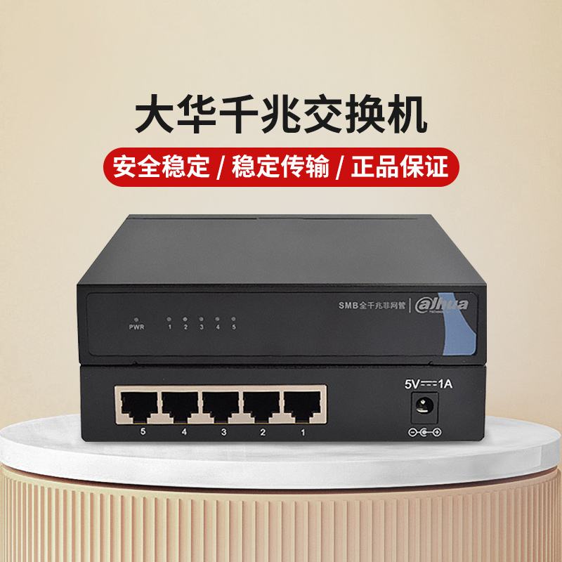 大华交换机:让网络更稳定的小帮手